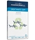 Hammermill Great White Copy Multipurpose Paper