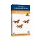 Hammermill Fore High-quality Multipurpose Paper